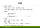 지질 4페이지
