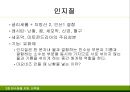 지질 14페이지