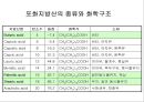 지질 21페이지