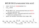지질 22페이지