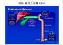 지질 29페이지