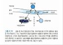 지질 45페이지