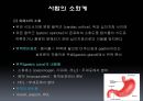 영양학소화 13페이지