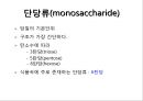 탄수화물 4페이지