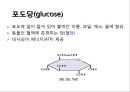 탄수화물 7페이지