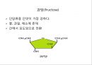 탄수화물 8페이지