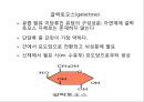 탄수화물 9페이지