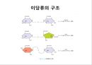 탄수화물 11페이지