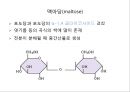 탄수화물 12페이지