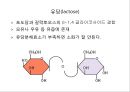 탄수화물 14페이지