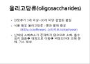 탄수화물 15페이지