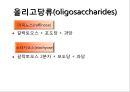 탄수화물 16페이지