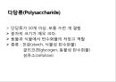 탄수화물 18페이지