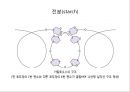 탄수화물 21페이지