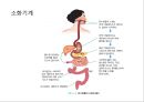 탄수화물 28페이지