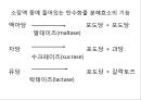 탄수화물 30페이지