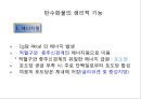 탄수화물 35페이지