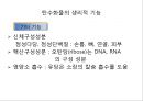 탄수화물 41페이지