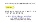 탄수화물 56페이지