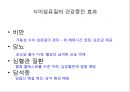 탄수화물 59페이지