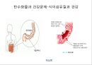 탄수화물 61페이지