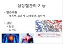 심장혈관 질환예방 5페이지