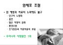 암 3페이지