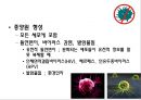 암 5페이지