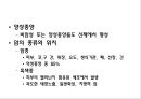 암 8페이지