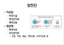 암 20페이지