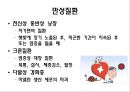 암 23페이지