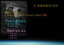 운동처방개요 13페이지