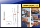 신체조성과 체형 10페이지