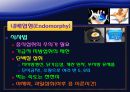 신체조성과 체형 23페이지