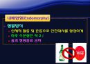 신체조성과 체형 24페이지
