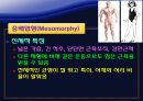 신체조성과 체형 25페이지