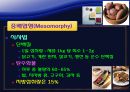 신체조성과 체형 26페이지