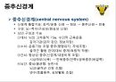 신경계의 구조와 기능 6페이지