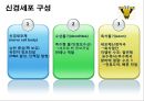 신경계의 구조와 기능 14페이지