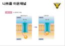 신경계의 구조와 기능 17페이지