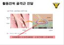 신경계의 구조와 기능 21페이지