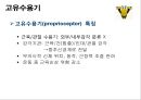 신경계의 구조와 기능 23페이지