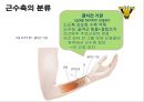 신경계의 구조와 기능 25페이지