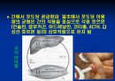 운동과영양 13페이지
