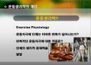 운동생리학의 이해 3페이지