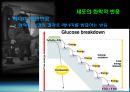 운동과 에너지원 4페이지