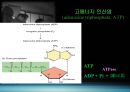 운동과 에너지원 5페이지