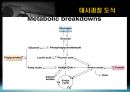 운동과 에너지원 10페이지