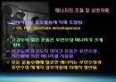 운동과 에너지원 11페이지