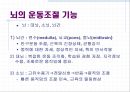 신경계 28페이지